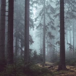 Unsplash-403